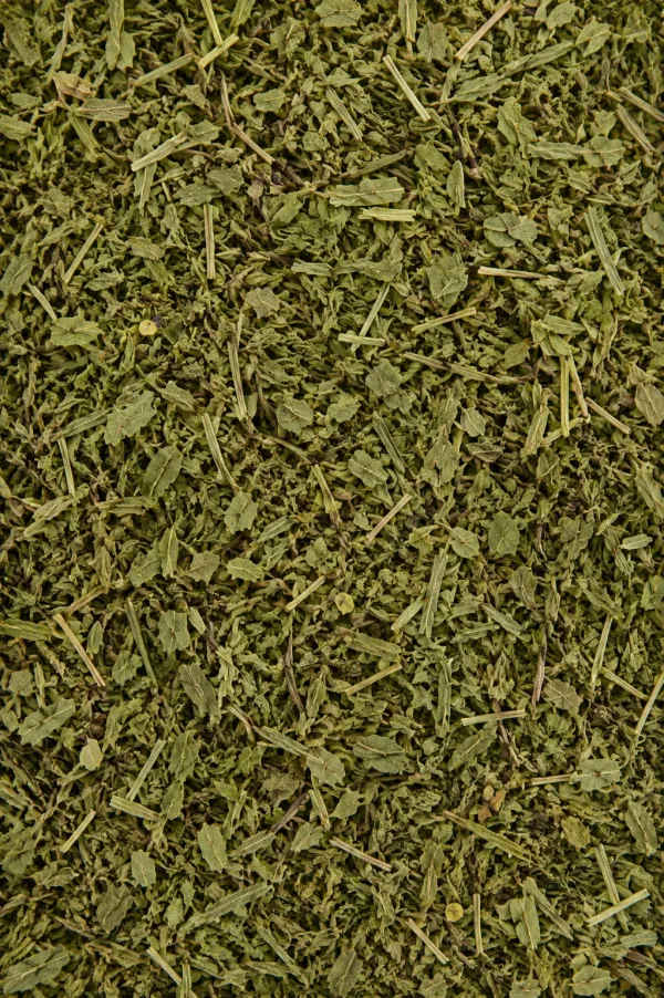 Estragon