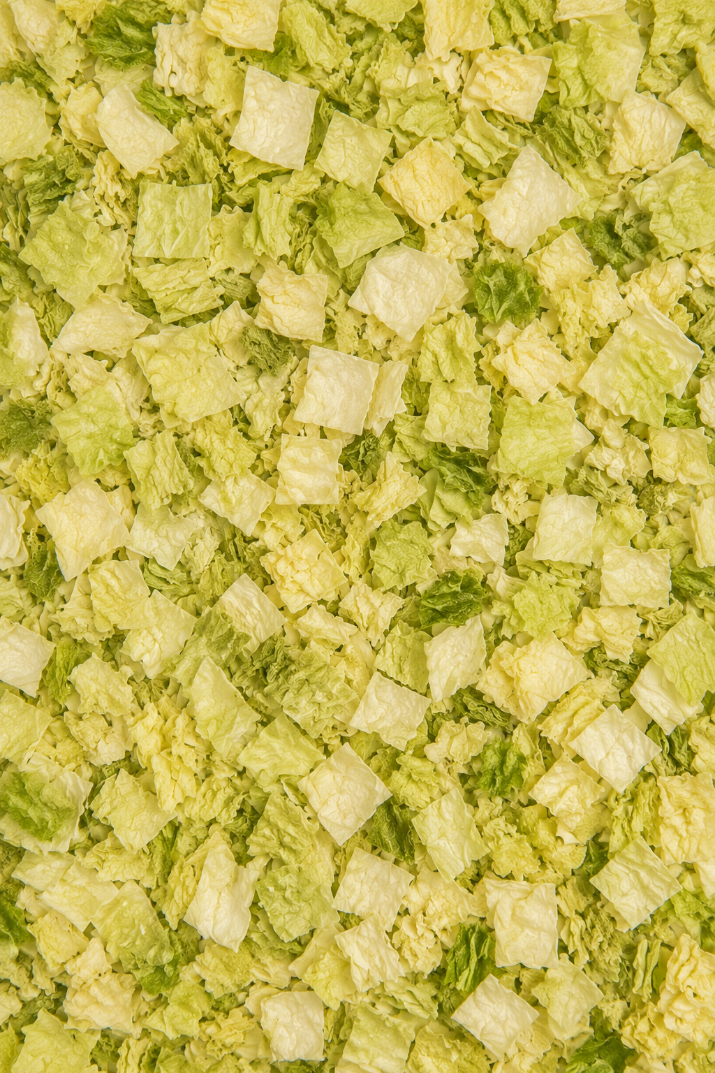 Kapusta