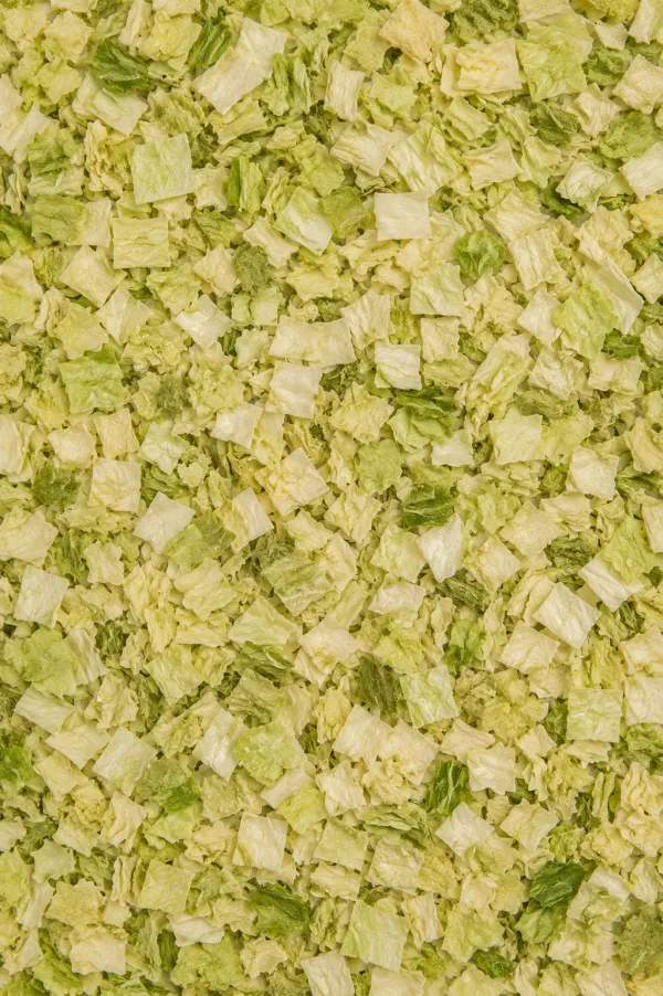 Kapusta