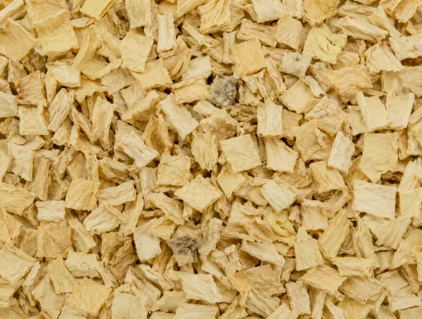 Pietruszka korzeń