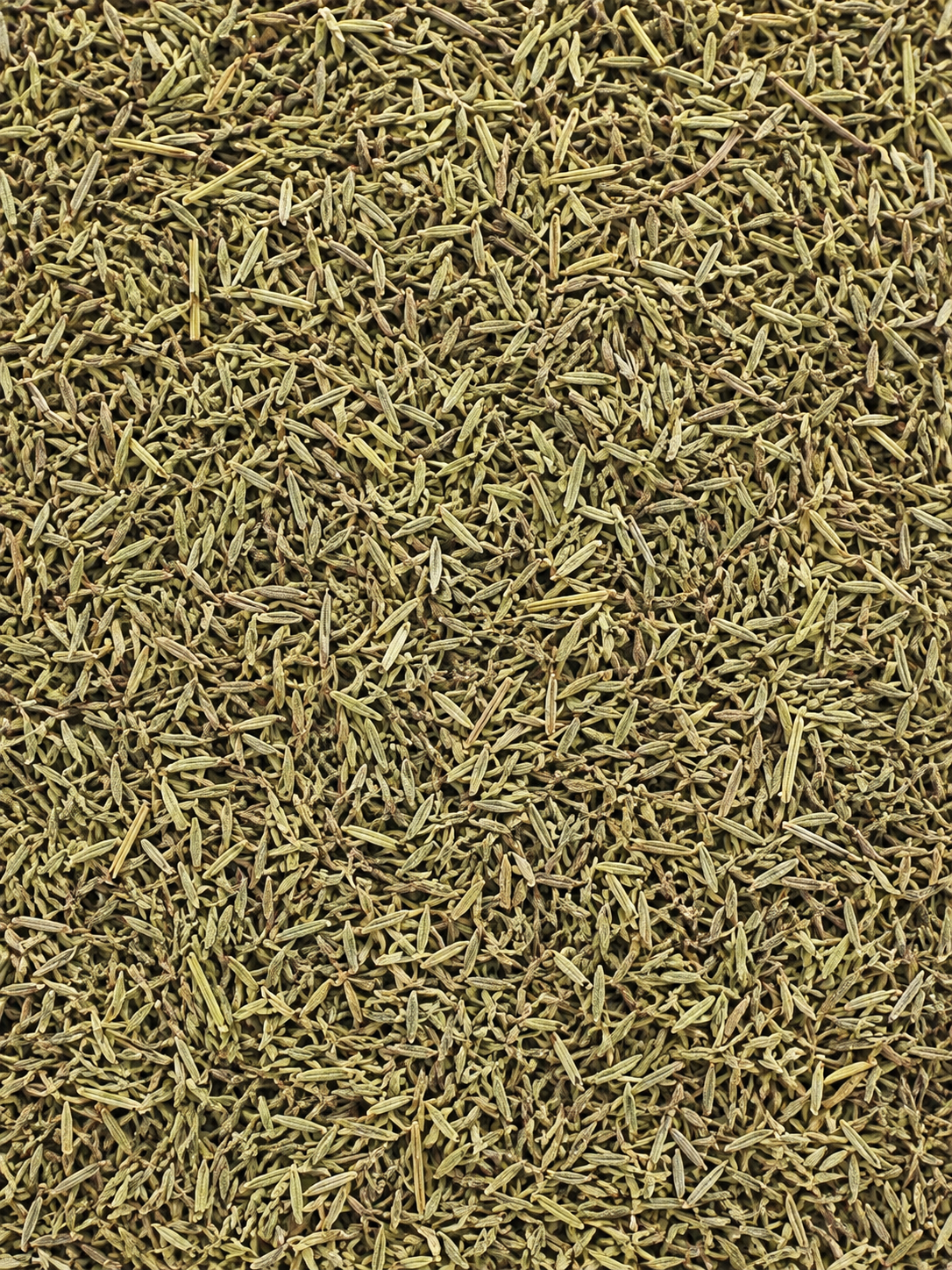 Tymianek